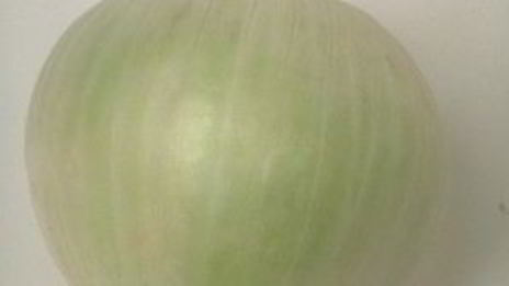 уха из карпа