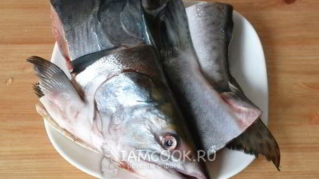 уха из кеты