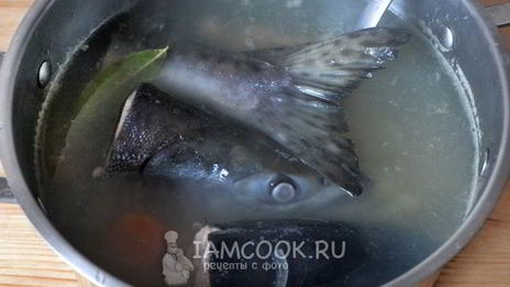 уха из кеты