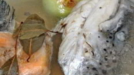 уха из красной рыбы