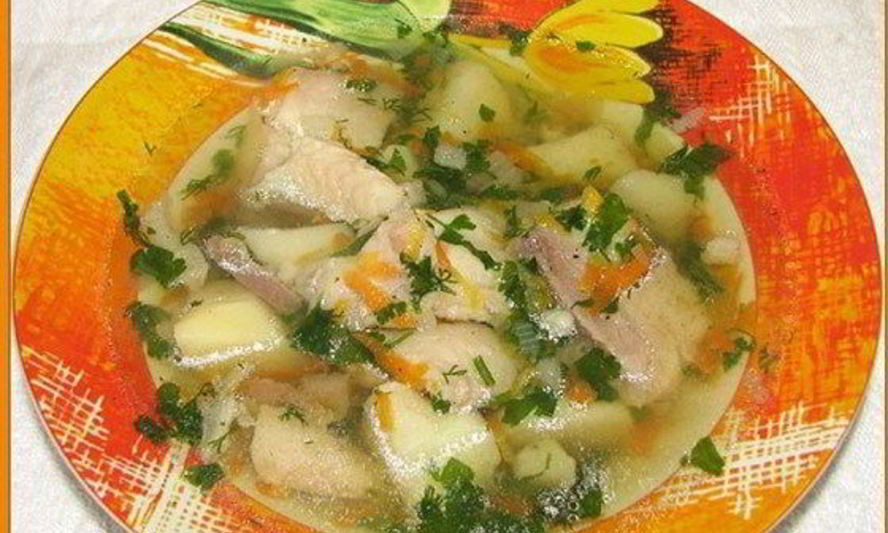 Рецепт ухи из морского языка