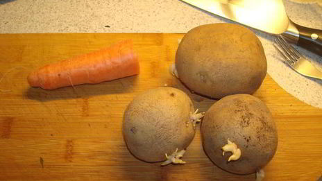 уха из ряпушки