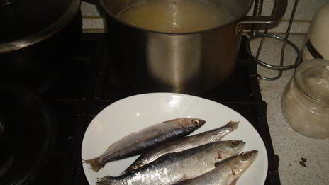 уха из ряпушки