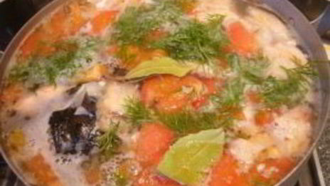 уха из семги с помидорами