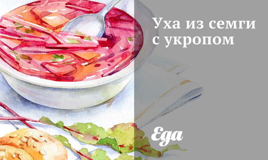 Рецепт ухи из семги с укропом