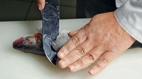 уха из сибаса