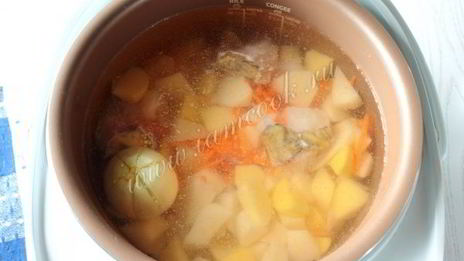 уха из сома в мультиварке