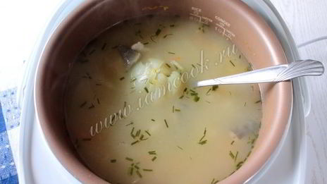 уха из сома в мультиварке