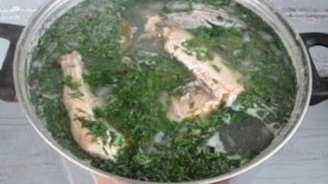 уха из стерляди