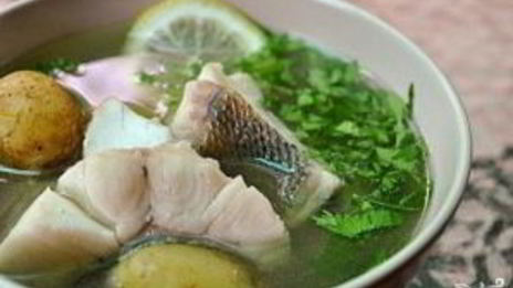 уха из стерляди