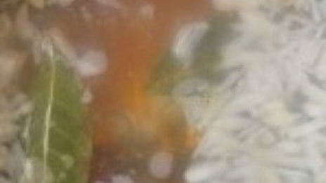 уха из зубатки