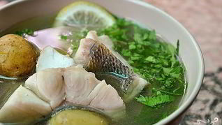 Уха рыбацкая