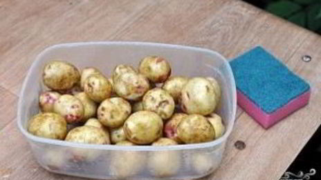 уха рыбацкая