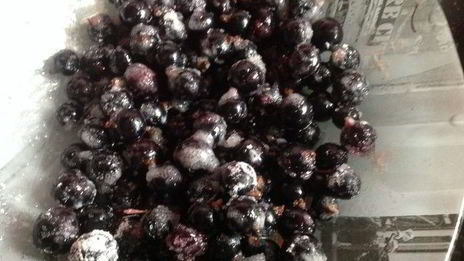 ватрушки с сюрпризом