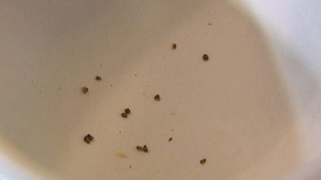 пряный имбирный кекс с черносливом и кленовым сиропом