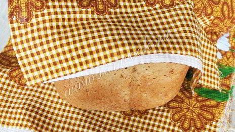 ржаной хлеб с луком