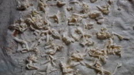 лаваш с беконом