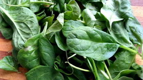 картофельные оладьи зеленые