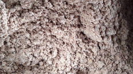 печенье шоколадно-ореховый трюфель