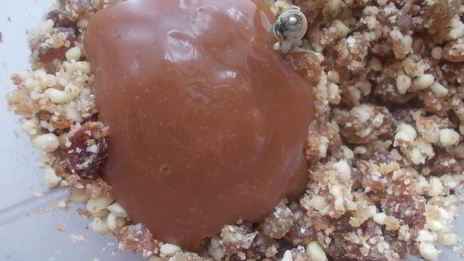 маковый пирог с карамельными яблочками