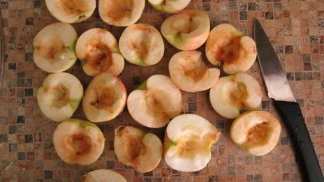 пирог из яблок со сметаной