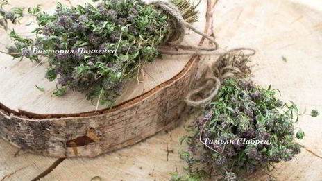 пицца маринара на томатном тесте