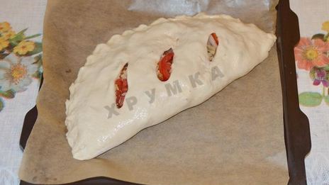 закрытая пицца кальцоне с курицей и грибами