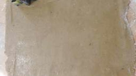 медово-пряничные овечки