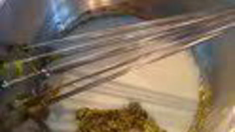 шарлотка с запеченным ревенем, баварским фисташковым кремом и клубникой