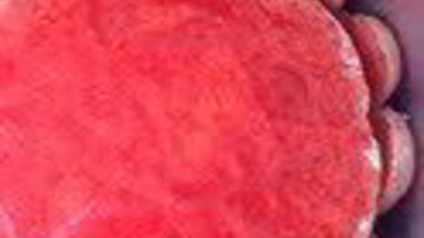 шарлотка с запеченным ревенем, баварским фисташковым кремом и клубникой