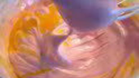 шарлотка с запеченным ревенем, баварским фисташковым кремом и клубникой