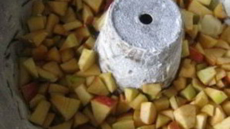 яблочная шарлотка в духовке