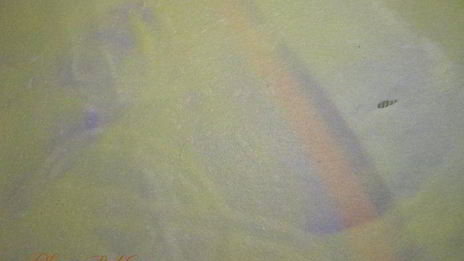 штрудель с яблочно-грушевой начинкой