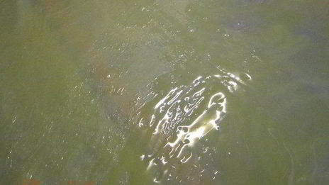 штрудель с яблочно-грушевой начинкой