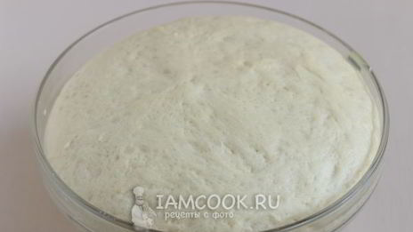 дрожжевое тесто на пироги на молоке