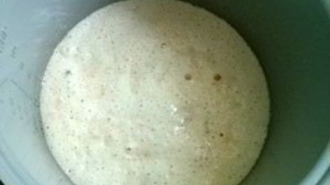 опарное дрожжевое тесто