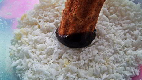 вафли хрустящие из разных хлопьев