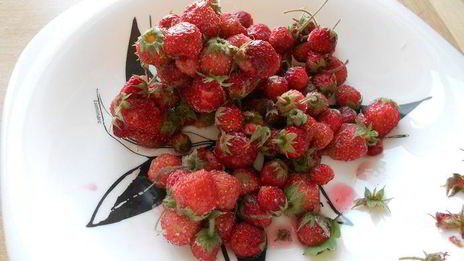 творожная запеканка с земляникой