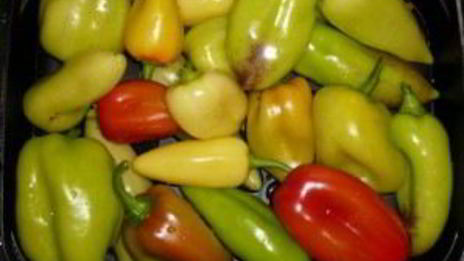 аджика из томатов