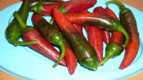 аджика из томатов