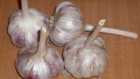 аджика из томатов