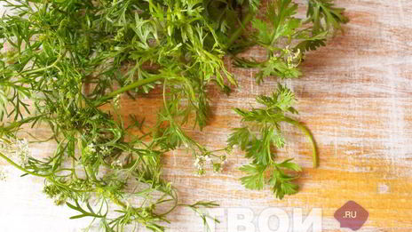 аджика из зеленого перца