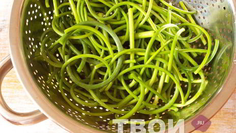 аджика из зеленого перца