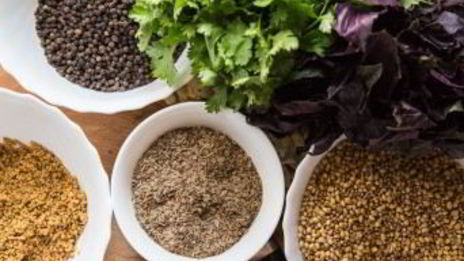 аджика кавказская на зиму