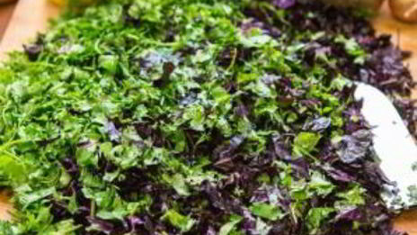 аджика кавказская на зиму