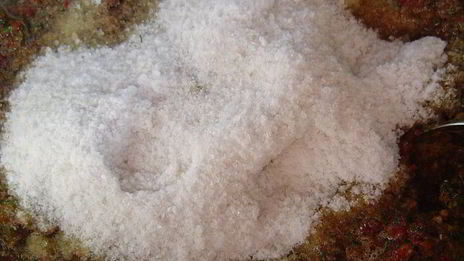 аджика острячок