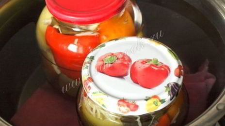 болгарский перец с капустой на зиму