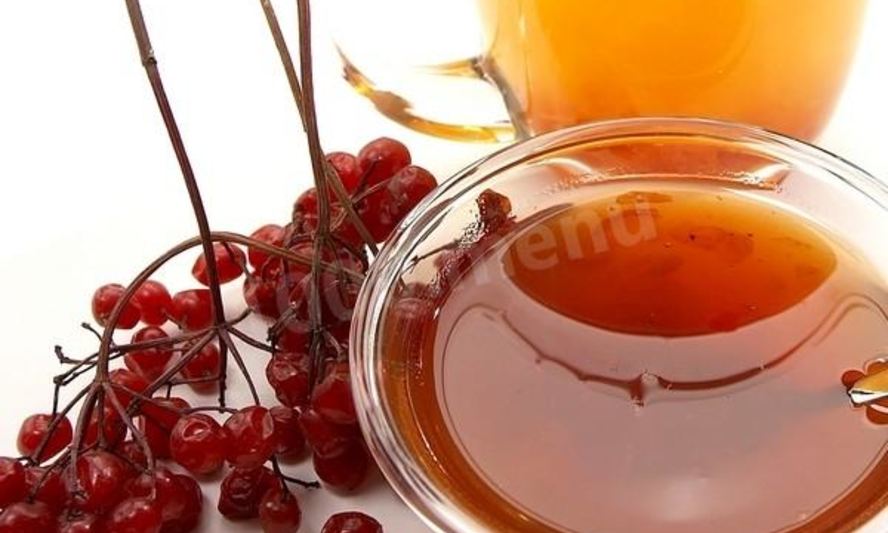 Рецепт калины с медом на зиму