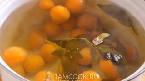 абрикосовый компот с базиликом и лимоном