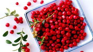 Компот из барбариса